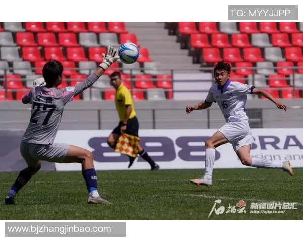 如何选择适合自己的足球并掌握购买技巧提升球技体验